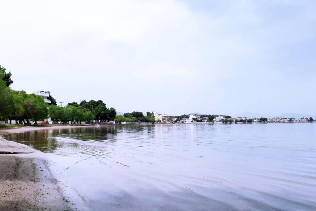 Πολυτελές Διαμέρισμα 2 Χαλκίδα-Παραλία Αυλίδος Paralia Avlidhos Exterior foto